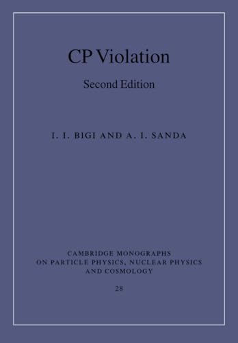 CP Violation