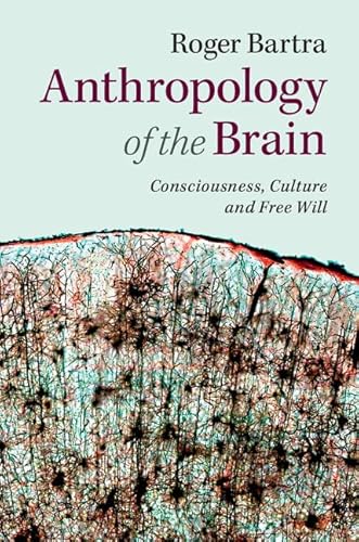 Anthropology of the Brain
