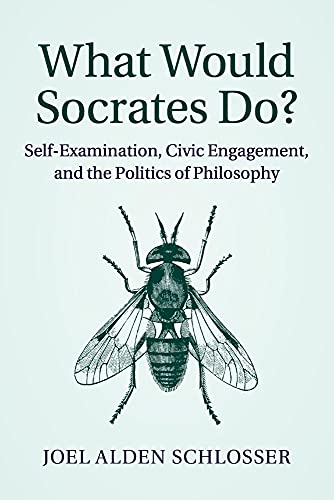 What Would Socrates Do?