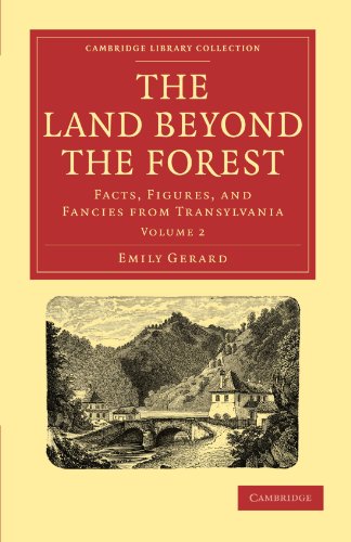 The Land Beyond the Forest