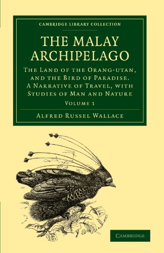 The Malay Archipelago - Volume 1