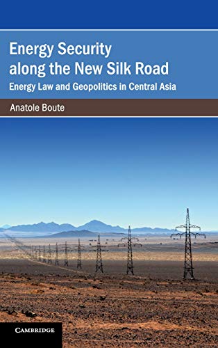 Energy Security along the New Silk Road