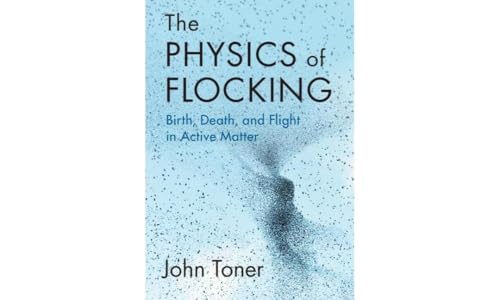 The Physics of Flocking