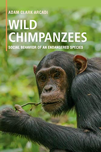 Wild Chimpanzees