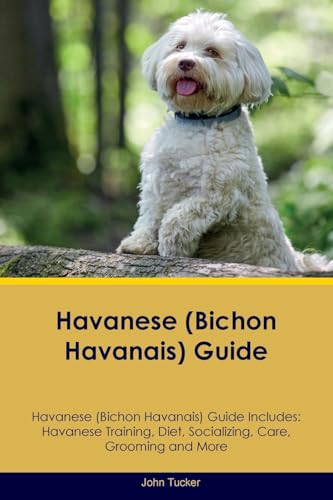 Havanese (Bichon Havanais) Guide Havanese Guide Includes