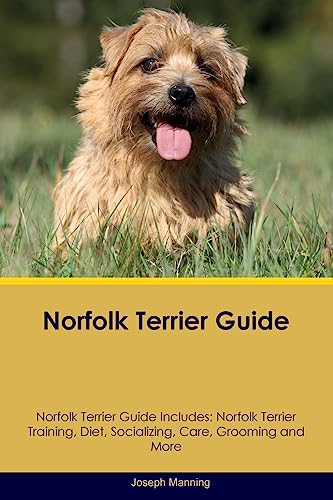 Norfolk Terrier Guide  Norfolk Terrier Guide Includes