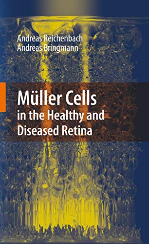 Muller Cells in the Healthy and Diseased Retina