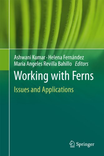 Working with Ferns