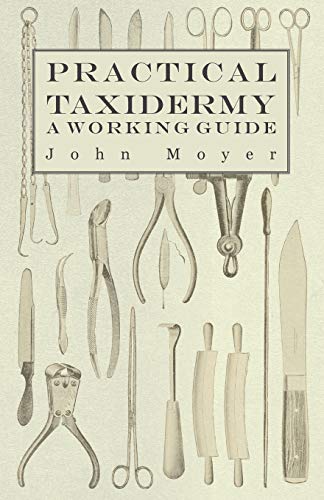 Practical Taxidermy - A Working Guide
