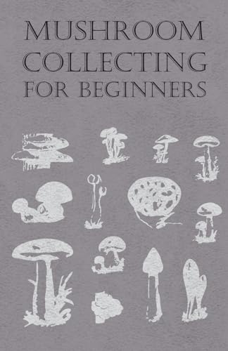 Mushroom Collecting for Beginners