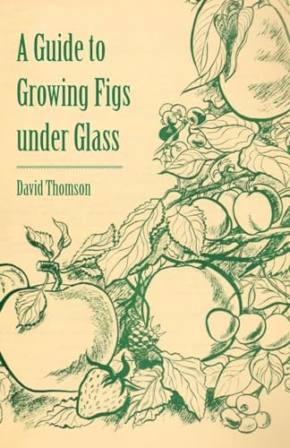 A Guide to Growing Figs Under Glass