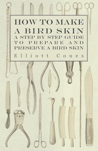 How to Make a Bird Skin - A Step by Step Guide to Prepare and Preserve a Bird Skin