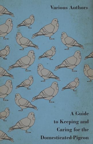 A Guide to Keeping and Caring for the Domesticated Pigeon