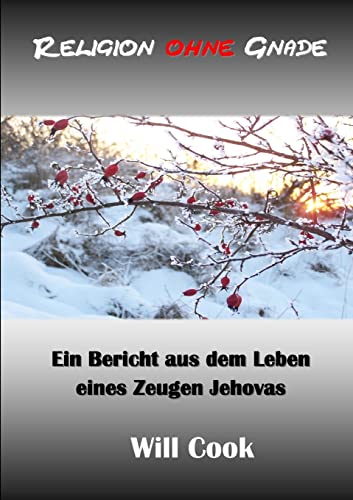 Religion ohne Gnade - ein Bericht aus dem Leben eines Zeugen Jehovas
