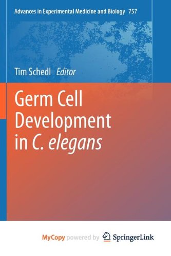 Germ Cell Development in C. elegans