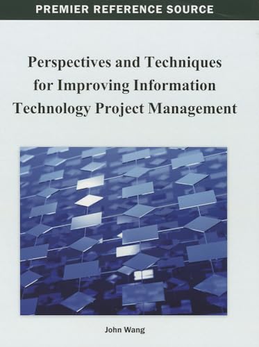Perspectives and Techniques for Improving Information Technology Project Management