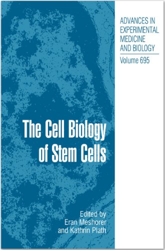 The Cell Biology of Stem Cells