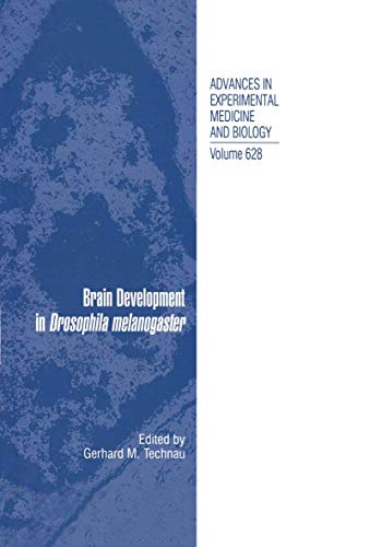 Brain Development in Drosophila melanogaster
