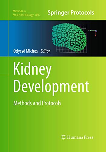 Kidney Development