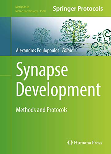 Synapse Development