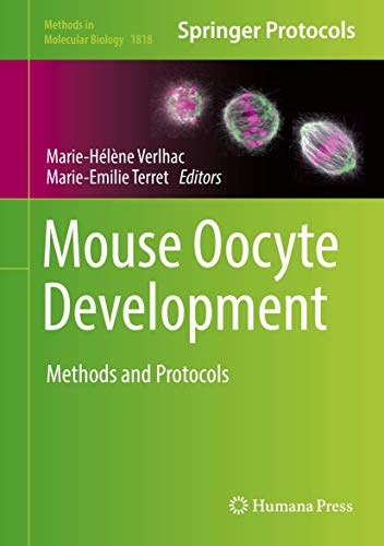 Mouse Oocyte Development