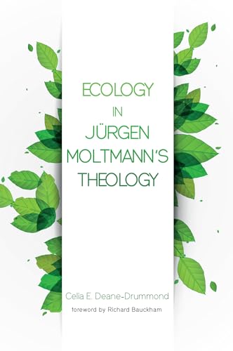 Ecology in Jurgen Moltmann's Theology