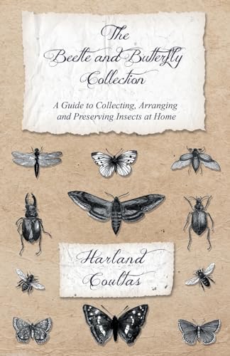 The Beetle and Butterfly Collection - A Guide to Collecting, Arranging and Preserving Insects at Home
