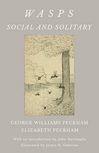 Wasps - Social and Solitary;With an Introduction by John Burroughs - Illustrated by James H. Emerton