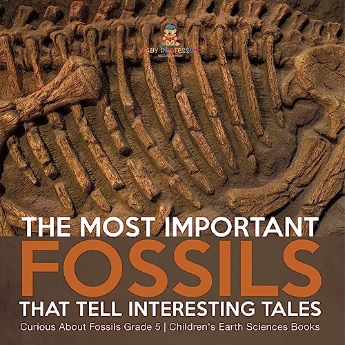 The Most Important Fossils That Tell Interesting Tales | Curious About Fossils Grade 5 | Children's Earth Sciences Books