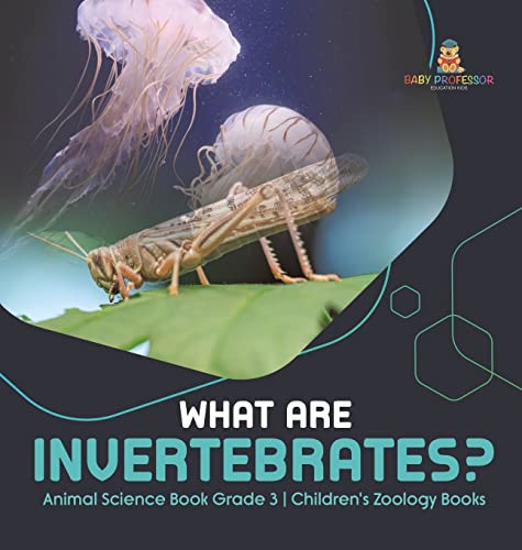 What Are Invertebrates? | Animal Science Book Grade 3 | Children's Zoology Books