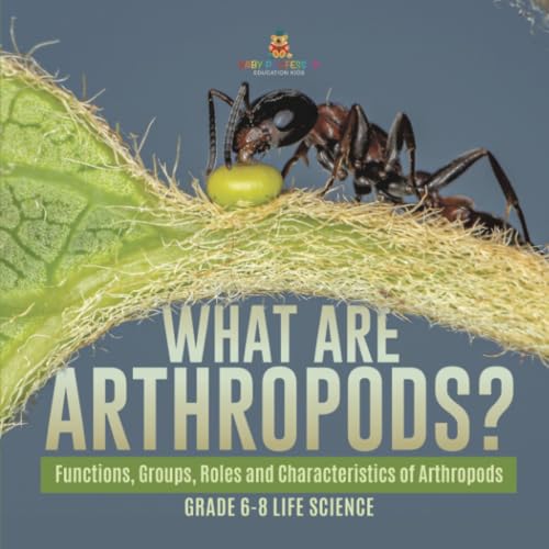 What are Arthropods? Functions, Groups, Roles and Characteristics of Arthropods | Grade 6-8 Life Science