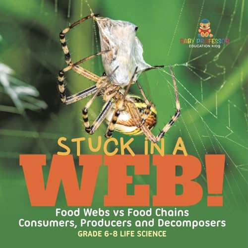 Stuck in a Web! Food Webs vs Food Chains | Consumers, Producers and Decomposers | Grade 6-8 Life Science