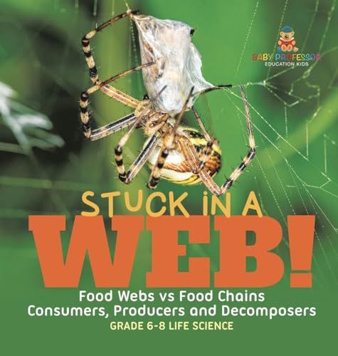 Stuck in a Web! Food Webs vs Food Chains | Consumers, Producers and Decomposers | Grade 6-8 Life Science