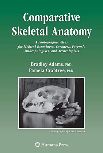 Comparative Skeletal Anatomy