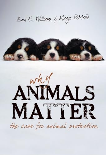 Why Animals Matter