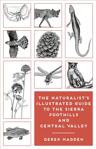 The Naturalist's Illustrated Guide to the Sierra Foothills and Central Valley