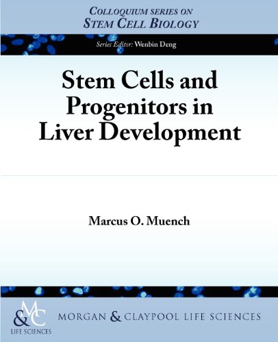 Stem Cells and Progenitors in Liver Development