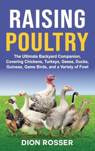 Raising Poultry