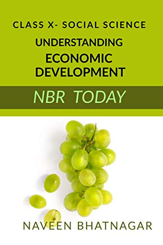 Class X Understanding Economic Development
