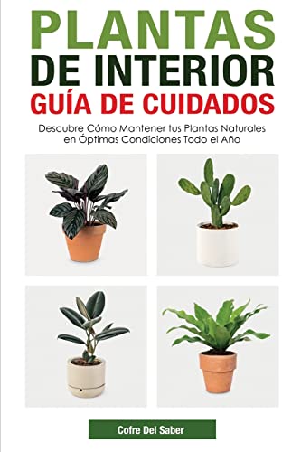 Plantas de Interior - Guía de Cuidados