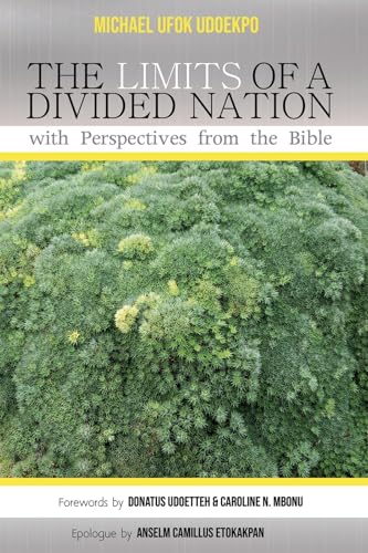 The Limits of a Divided Nation with Perspectives from the Bible