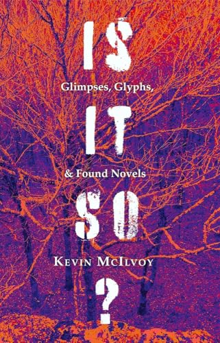 Is It So? Glimpses, Glyphs, & Found Novels
