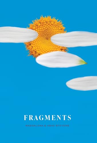 FRAGMENTS