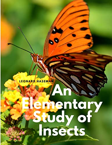 An Elementary Study of Insects