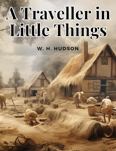 A Traveller in Little Things