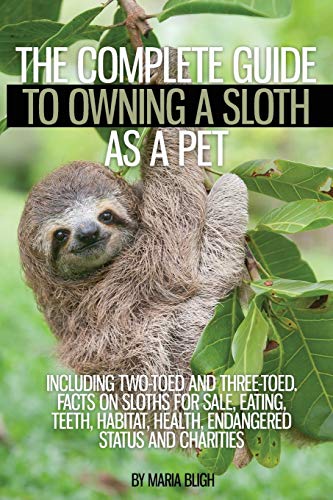 The Complete Guide to Owning a Sloth as a Pet including Two-Toed and Three-Toed.  Facts on Sloths for Sale, Eating, Teeth, Habitat, Health, Endangered Status and Charities
