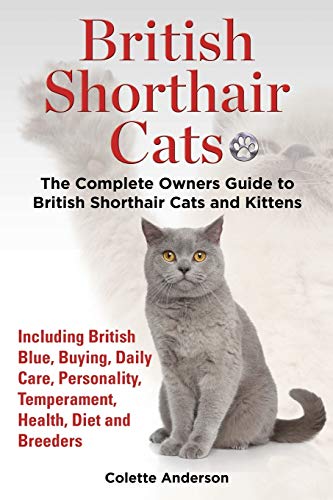 British Shorthair Cats, The Complete Owners Guide to British Shorthair Cats and Kittens  Including British Blue, Buying, Daily Care, Personality, Temperament, Health, Diet and Breeders