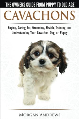 Cavachons - The Owner's Guide from Puppy to Old Age - Choosing, Caring for, Grooming, Health, Training and Understanding Your Cavachon Dog or Puppy