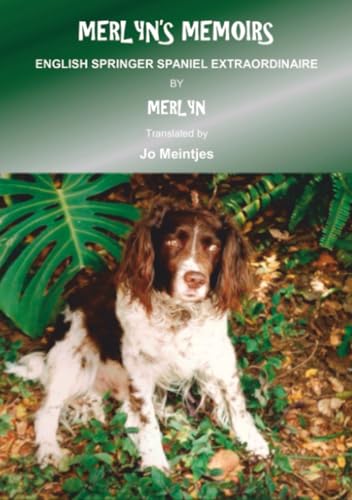 Merlyn's Memoirs