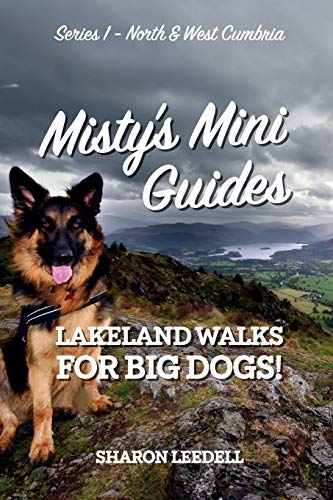 Misty's Mini Guides